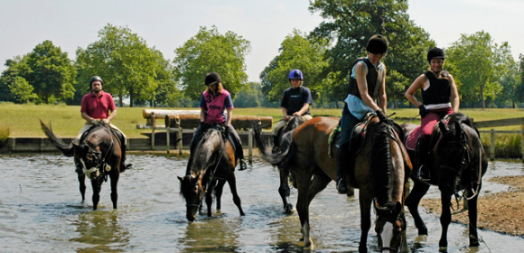 Equestrian Training 